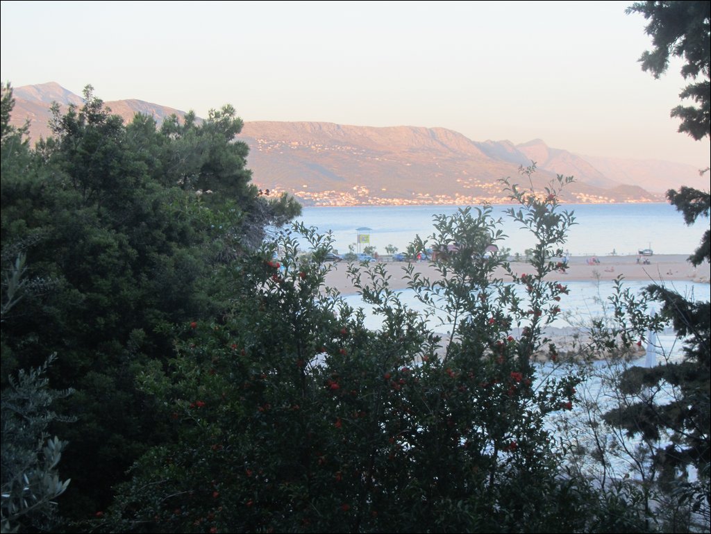 IMG_8924.JPG
