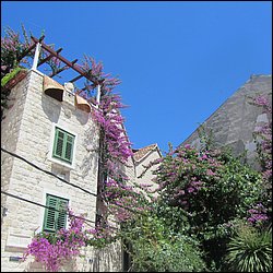 IMG_8841.JPG