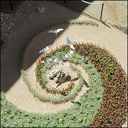 IMG_8846.JPG
