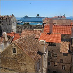 IMG_8856.JPG