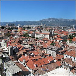 IMG_8865.JPG