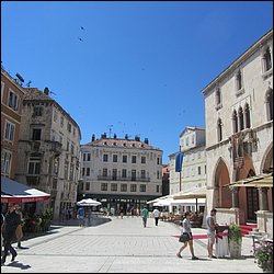 IMG_8895.JPG