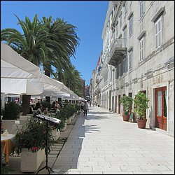 IMG_8903.JPG
