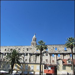 IMG_8911.JPG