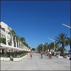 IMG_8915.JPG