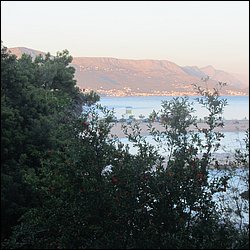 IMG_8924.JPG