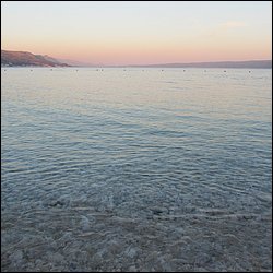 IMG_8931.JPG