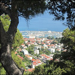IMG_9791.JPG