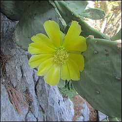 IMG_9806.JPG