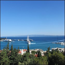 IMG_9813.JPG