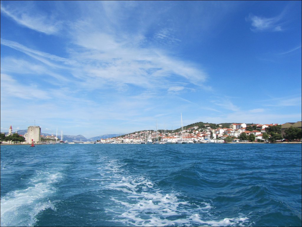 IMG_8732.JPG