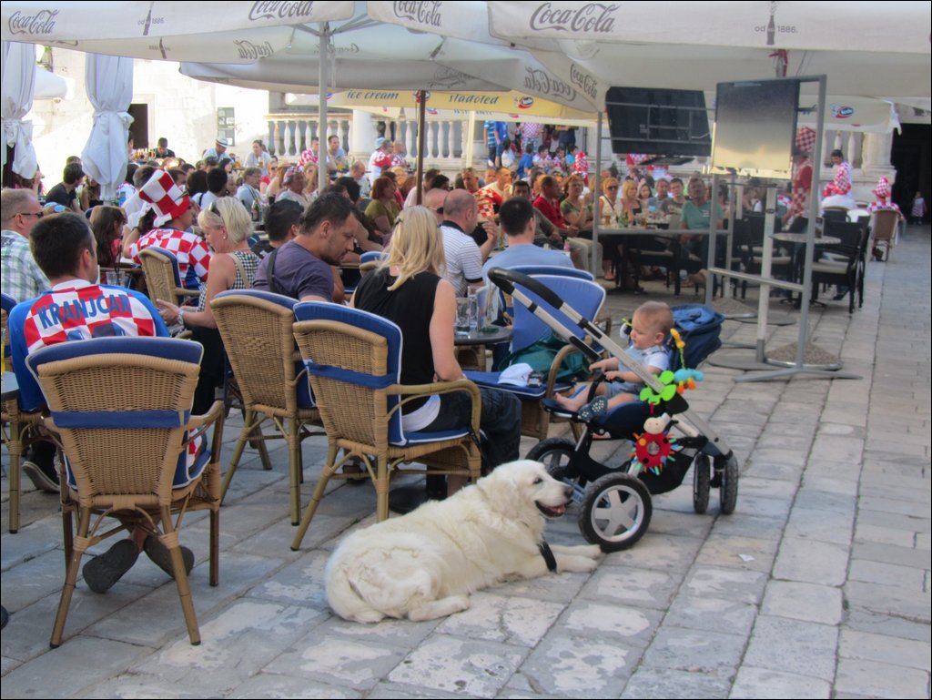 IMG_8805.JPG