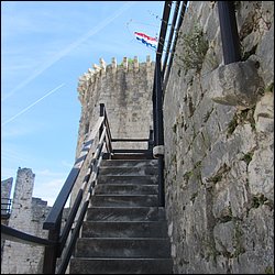 IMG_8695.JPG