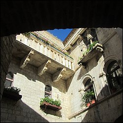 IMG_8761.JPG