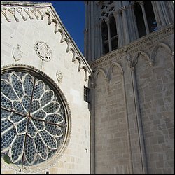 IMG_8773.JPG