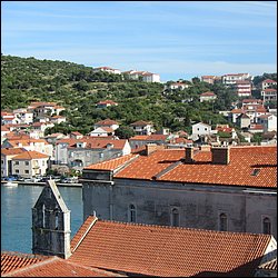 IMG_8781.JPG