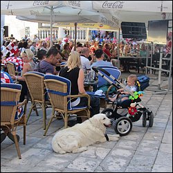 IMG_8805.JPG