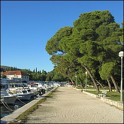 IMG_8823.JPG