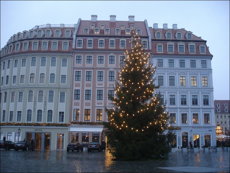06.JPG