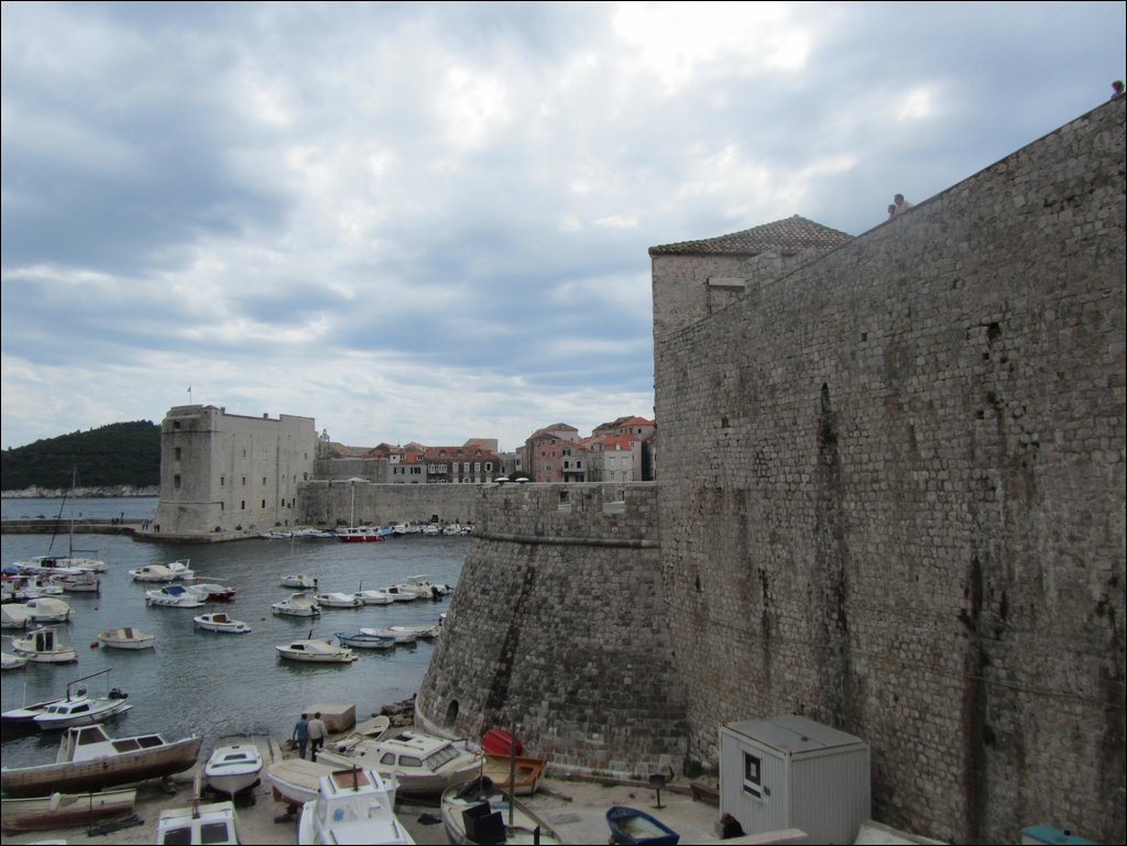 IMG_7906.JPG