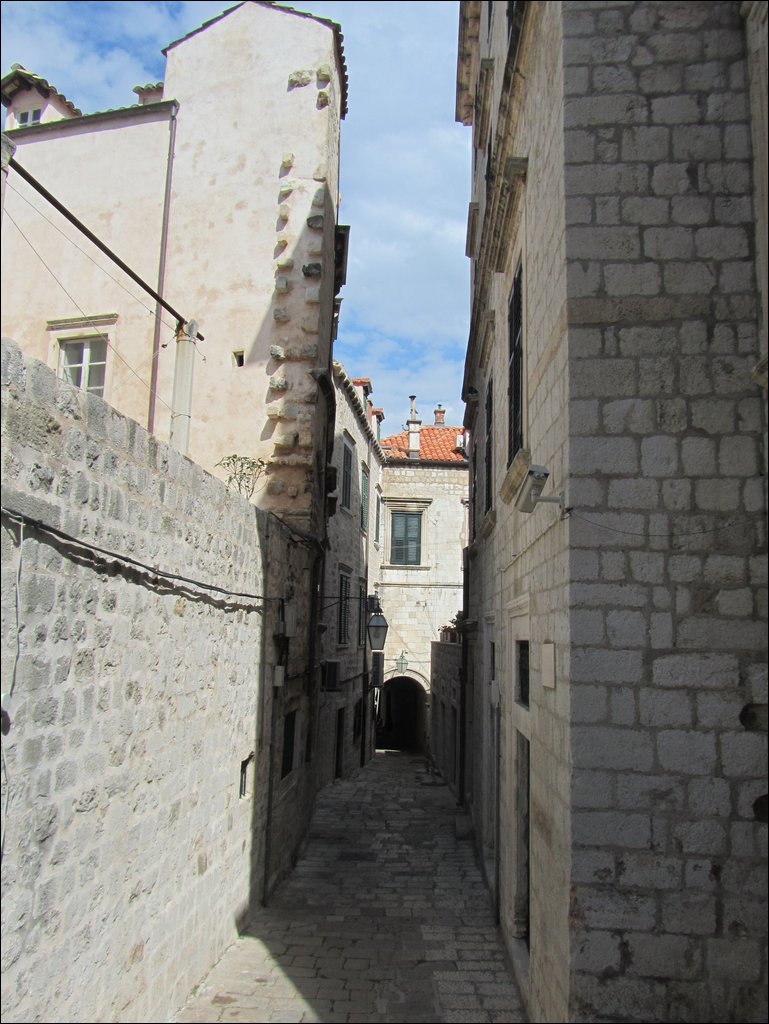 IMG_7951.JPG