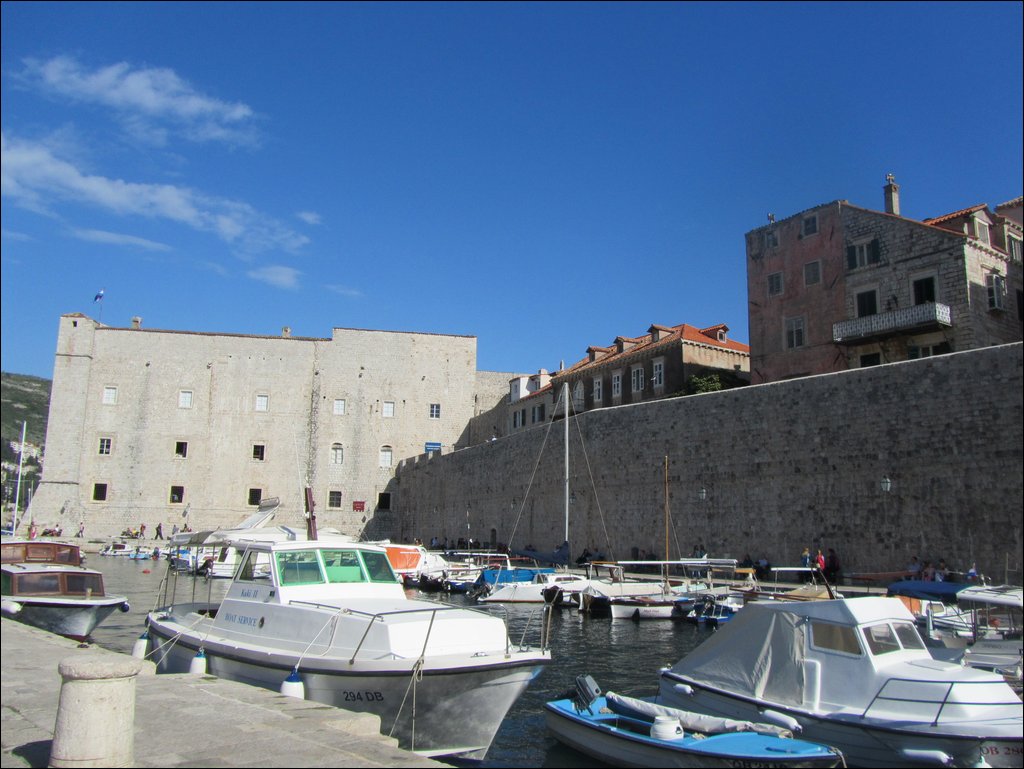 IMG_7992.JPG