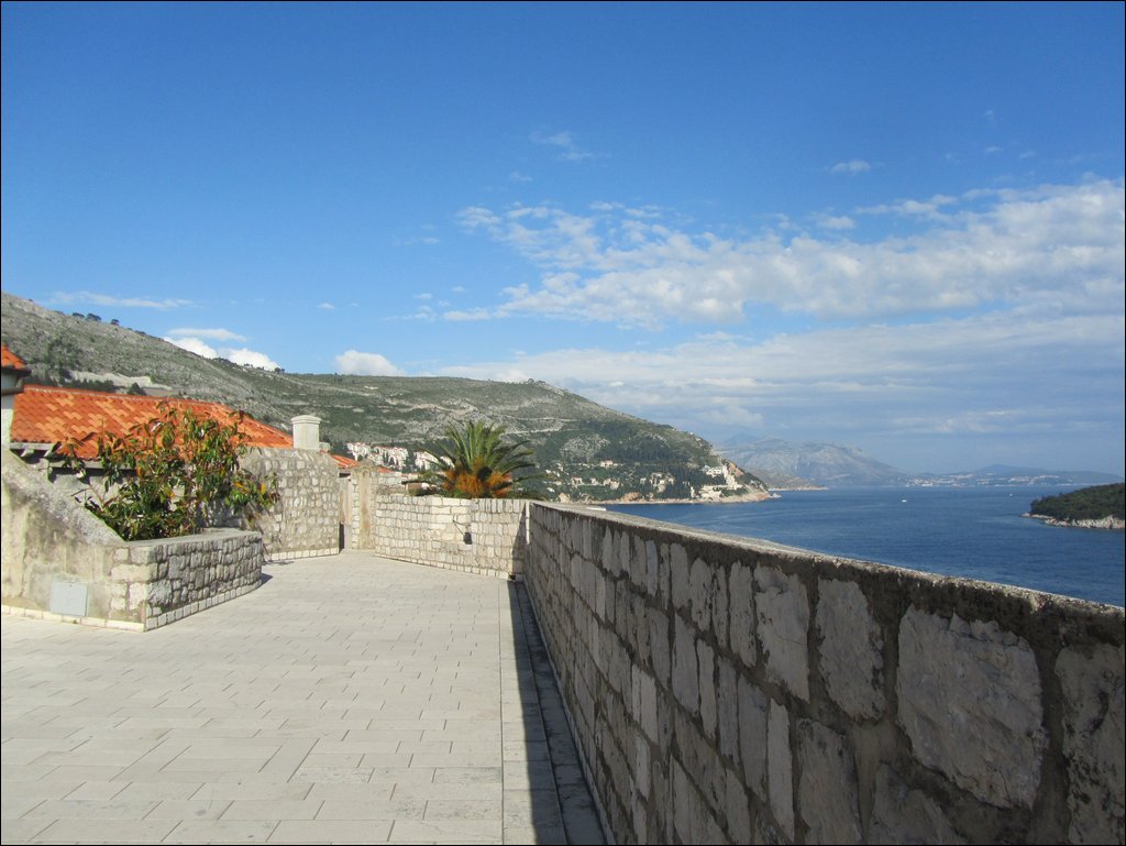 IMG_8048.JPG