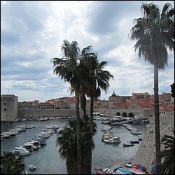 IMG_7904.JPG