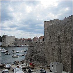 IMG_7906.JPG