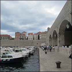 IMG_7920.JPG