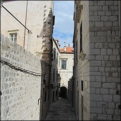 IMG_7951.JPG