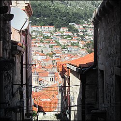 IMG_7967.JPG