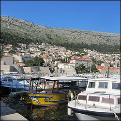 IMG_7991.JPG