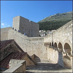 IMG_8000.JPG
