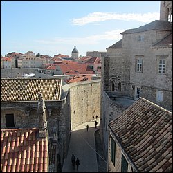 IMG_8003.JPG