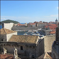 IMG_8005.JPG