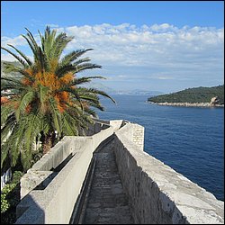 IMG_8051.JPG