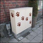 IMG_2950.JPG