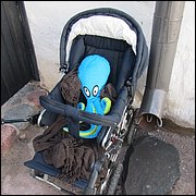 IMG_2978.JPG