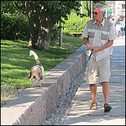 IMG_3026.JPG
