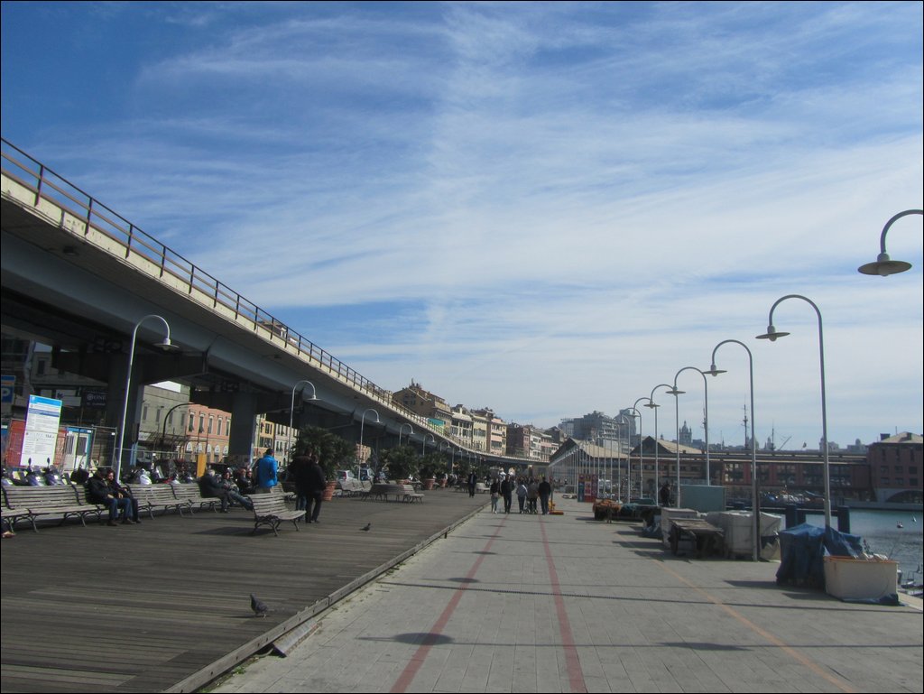 IMG_6545.JPG