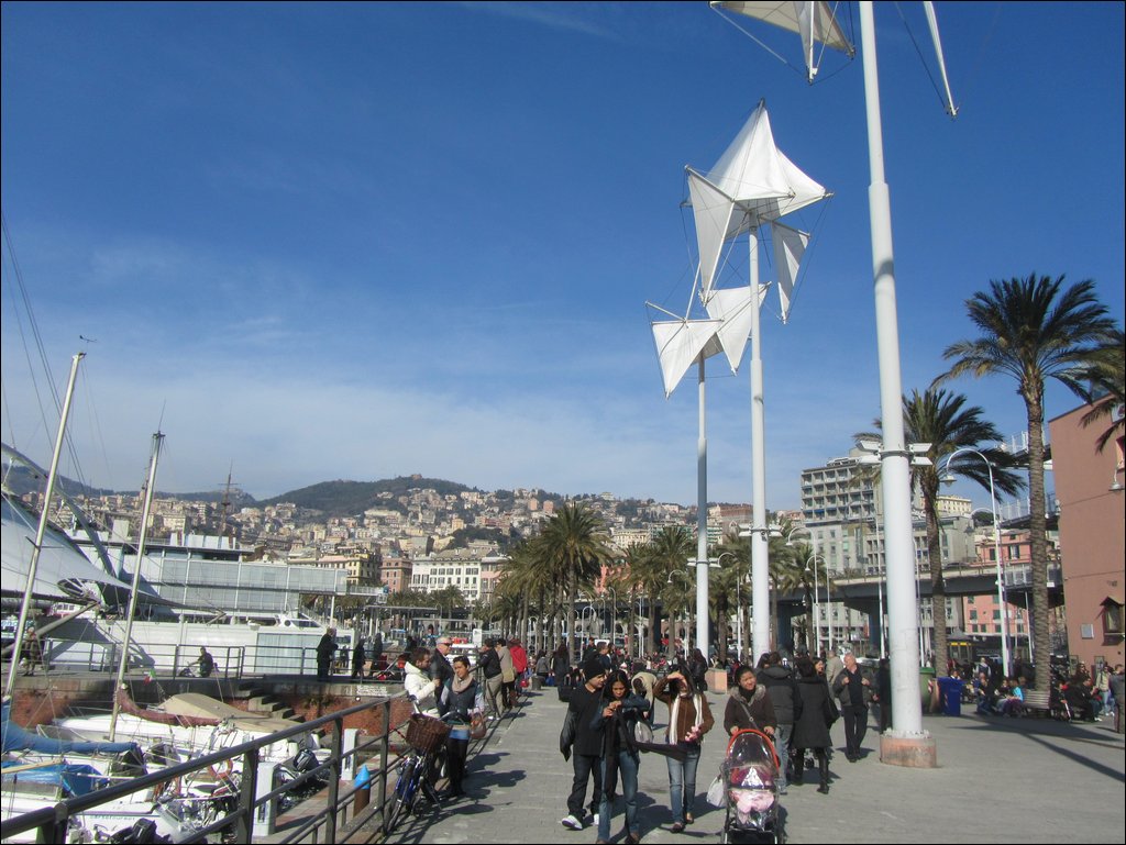 IMG_6551.JPG