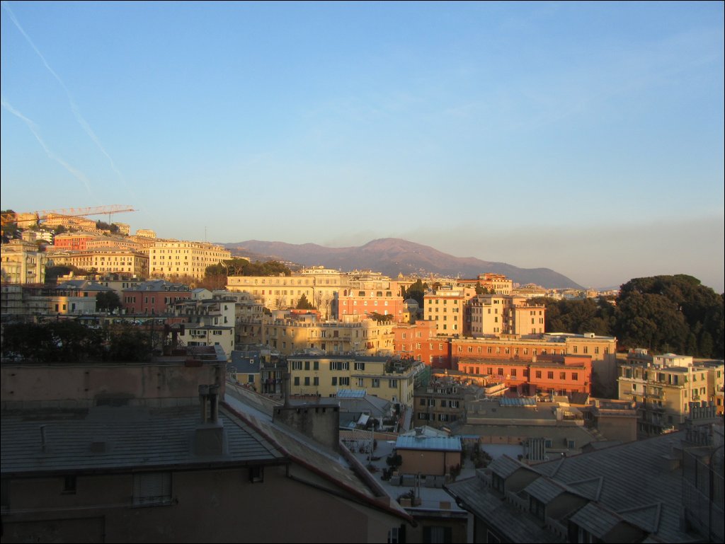 IMG_6634.JPG