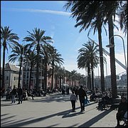 IMG_6547.JPG