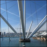 IMG_6550.JPG
