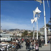 IMG_6551.JPG