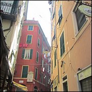 IMG_6566.JPG
