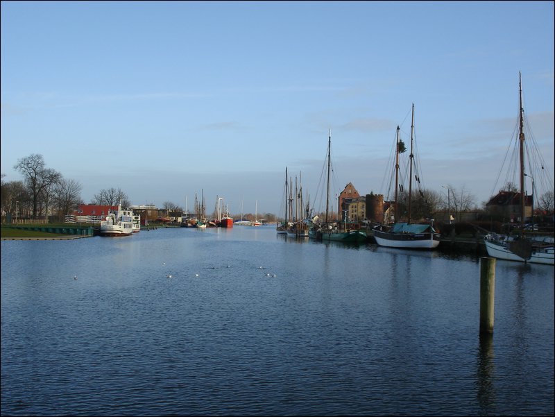 DSC07204.JPG
