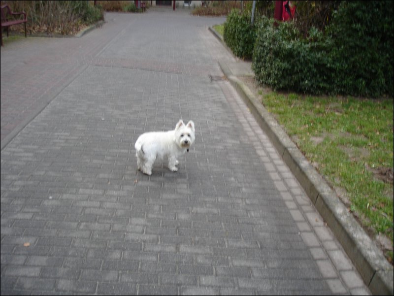 DSC07234.JPG