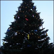 DSC07133.JPG